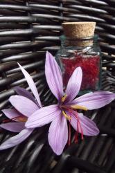 fleur-fond-noir.jpg