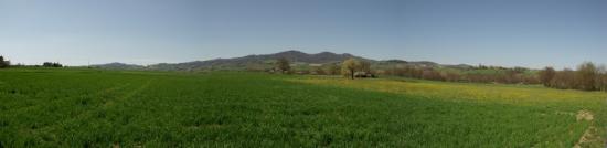 panorama.jpg